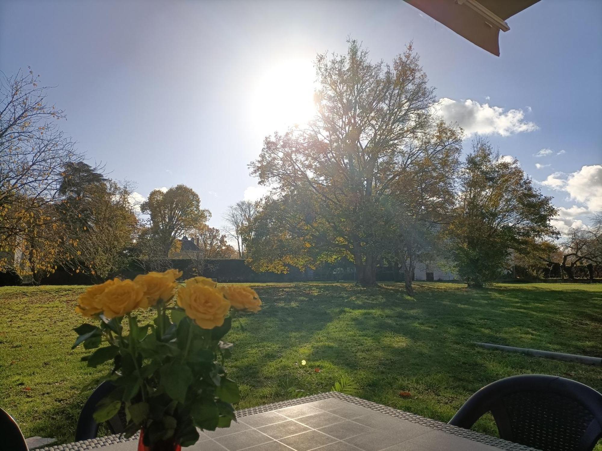 Gite Climatise Villa Esperanza 2 A 5 Personnes Valençay Exterior foto