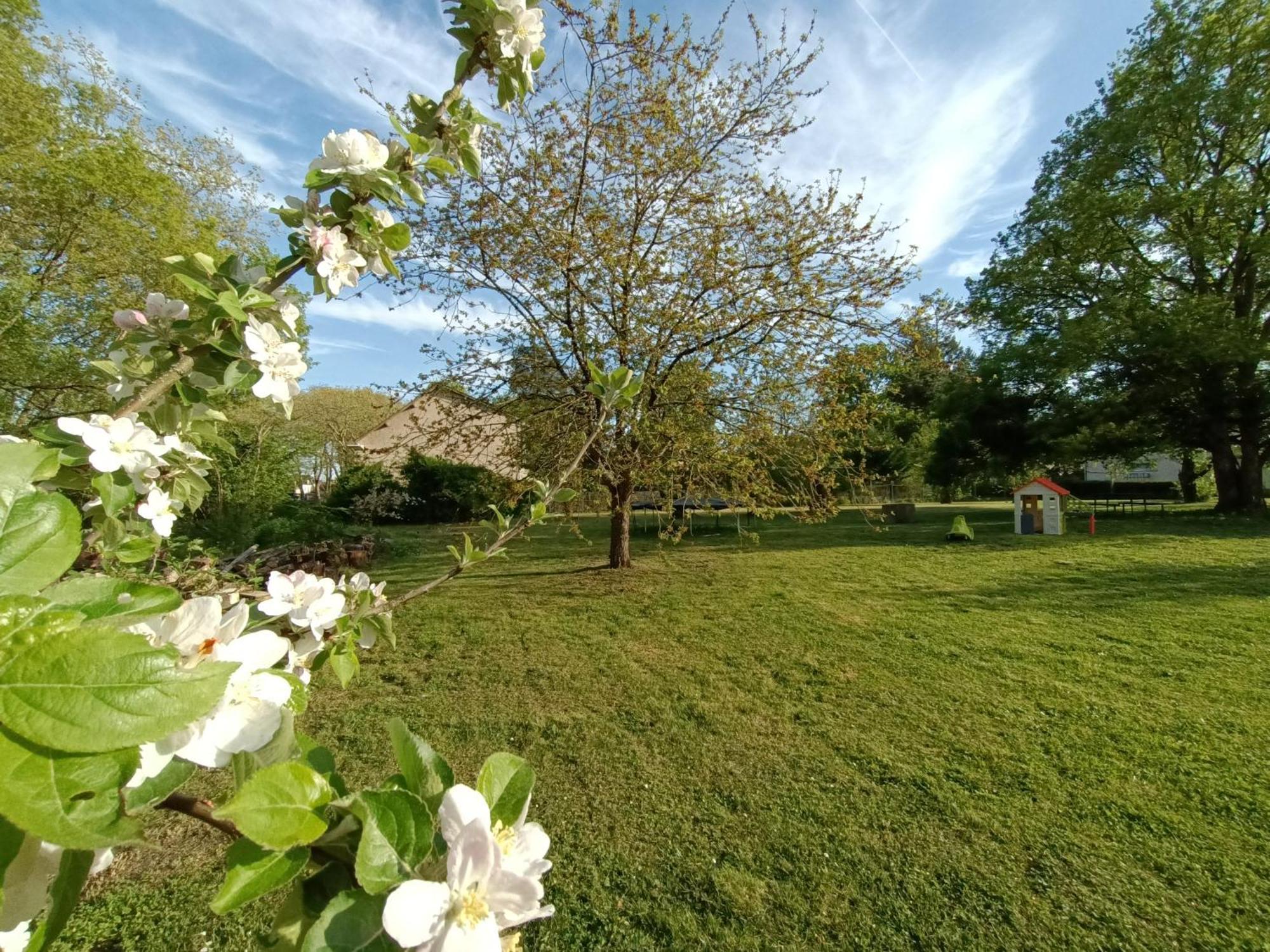 Gite Climatise Villa Esperanza 2 A 5 Personnes Valençay Exterior foto